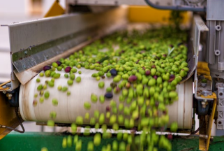 FoodScan™ 2 for olive processing – Image 2