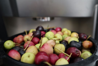 FoodScan™ 2 for olive processing – Image 3