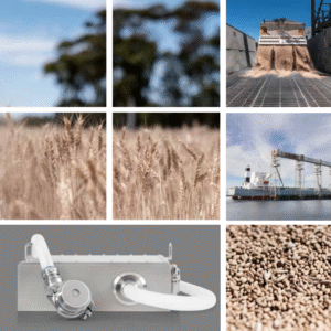 ProFoss™ 2 whole grain