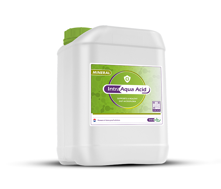 Intra Aqua Acid Mineral