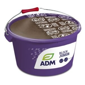 ADM BLOCK JUNIOR