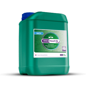 Intra Hoof fit bath